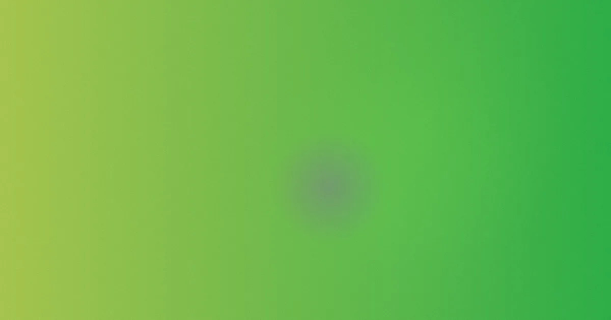 丽宫攻略：同类餐厅对比
